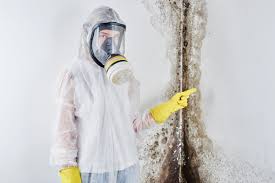 Biohazard Mold Removal in Hoopers Creek, NC